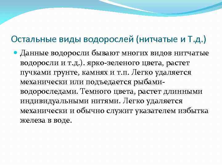 Остальные виды водорослей (нитчатые и Т. д. ) Данные водоросли бывают многих видов нитчатые