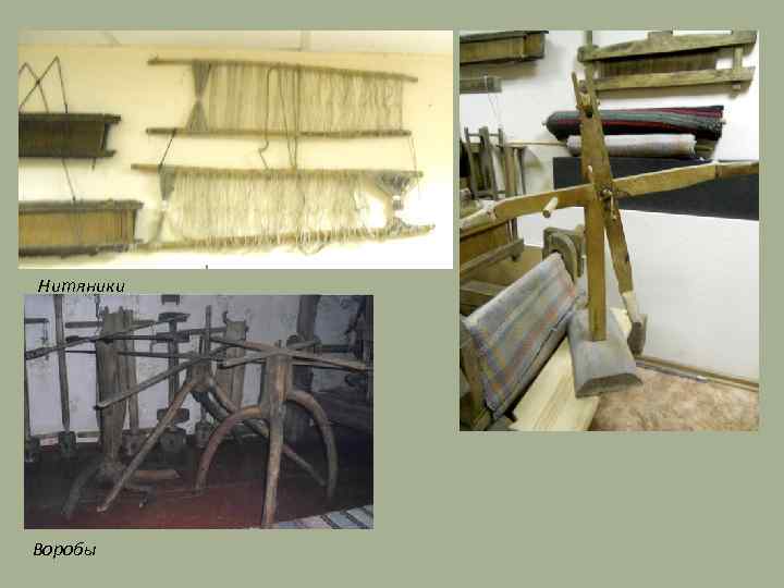 Нитяники Воробы 