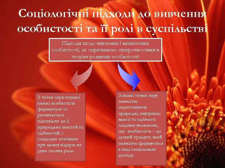 Соціологічні підходи до вивчення особистості та її ролі в суспільстві Підходи щодо вивчення і