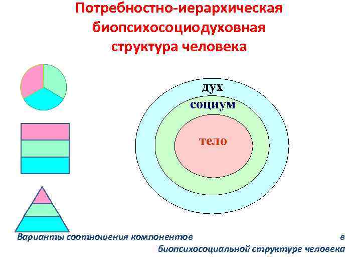 Потребностно-иерархическая биопсихосоциодуховная структура человека дух социум тело душа Варианты соотношения компонентов в биопсихосоциальной структуре
