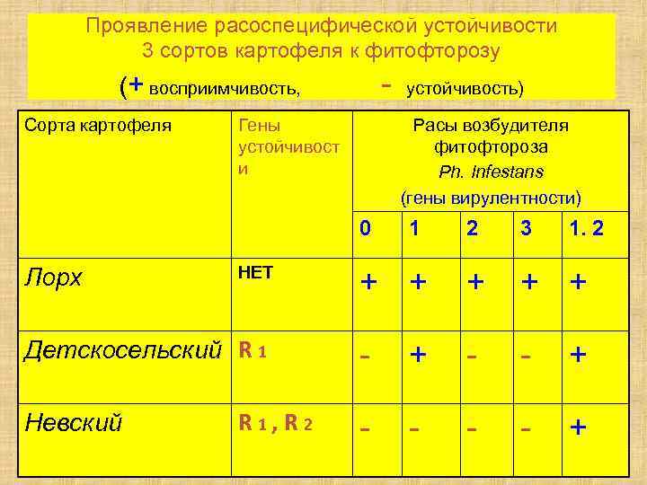 Проявление расоспецифической устойчивости 3 сортов картофеля к фитофторозу - (+ восприимчивость, Сорта картофеля Гены