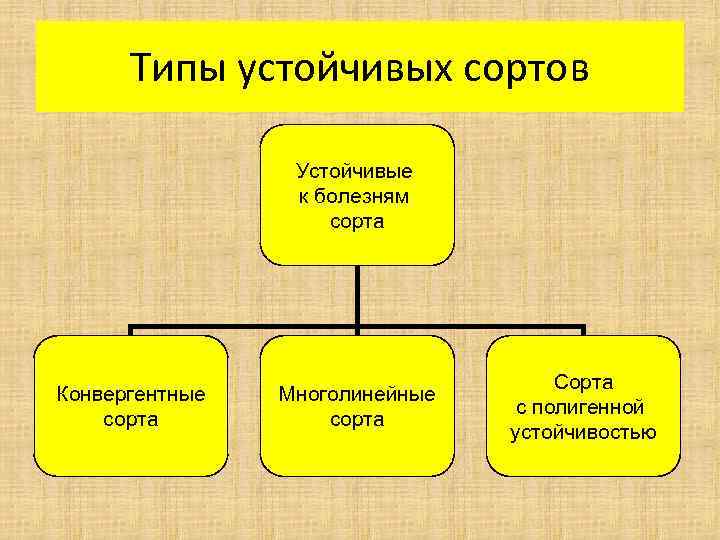 Типы устойчивых сортов Устойчивые к болезням сорта Конвергентные сорта Многолинейные сорта Сорта с полигенной