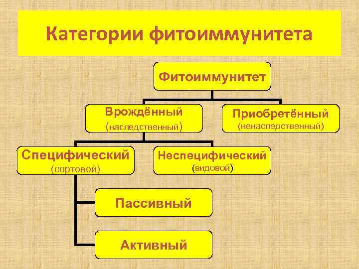 Категории фитоиммунитета Фитоиммунитет Врождённый (наследственный) Приобретённый (ненаследственный) Специфический Неспецифический (сортовой) (видовой) Пассивный Активный 