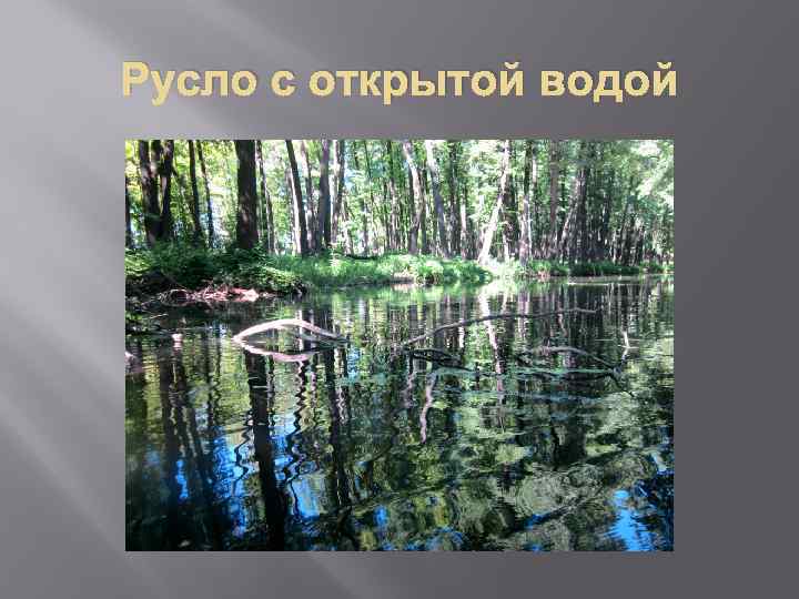 Русло с открытой водой 