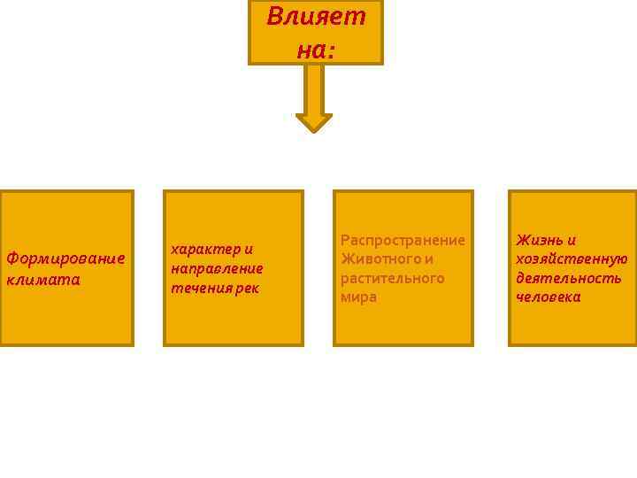 Влияет на: Формирование климата характер и направление течения рек Распространение Животного и растительного мира