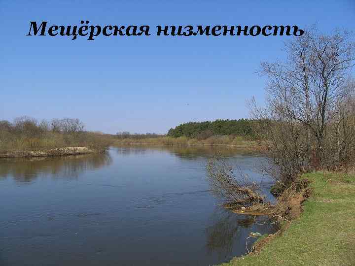 Мещёрская низменность 