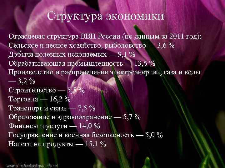 Структура экономики Место России в мировом Отраслевая структура ВВП России (по данным за 2011