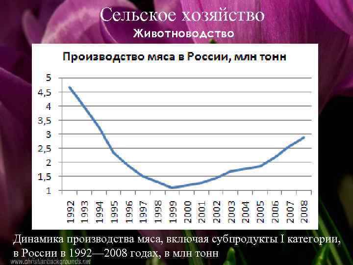 Сельское хозяйство Животноводство Место России в мировом хозяйстве Динамика производства мяса, включая субпродукты I