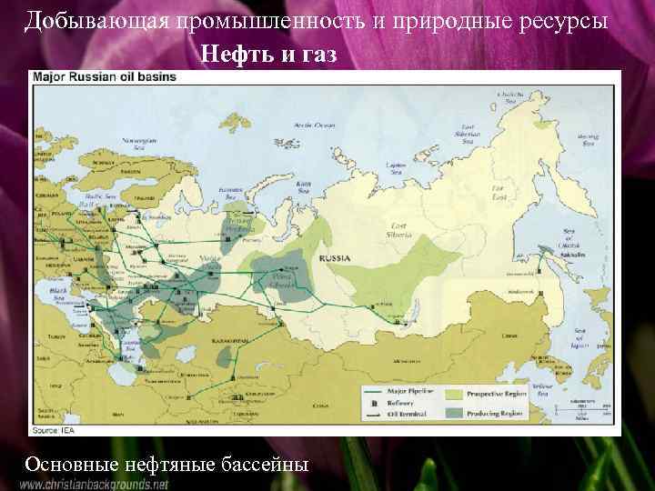 Добывающая промышленность и природные ресурсы Нефть и газ Место России в мировом хозяйстве Основные