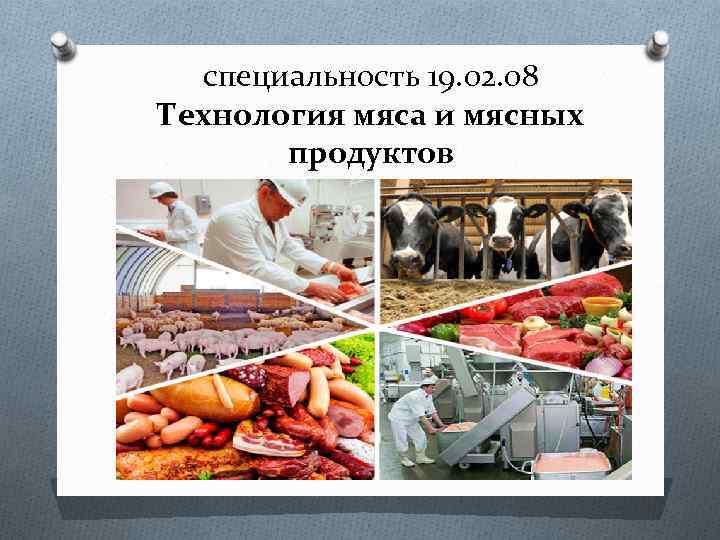 Технология мяса. Технология мяса и мясных продуктов. «Технология мяса и мясных изделий». Технолог мяса и мясных продуктов. Профессия технолог мяса и мясных продуктов.