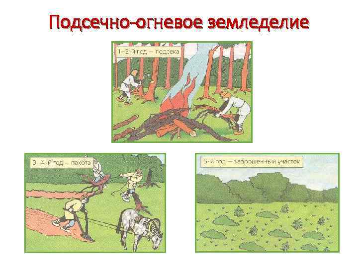 Подсечно-огневое земледелие 