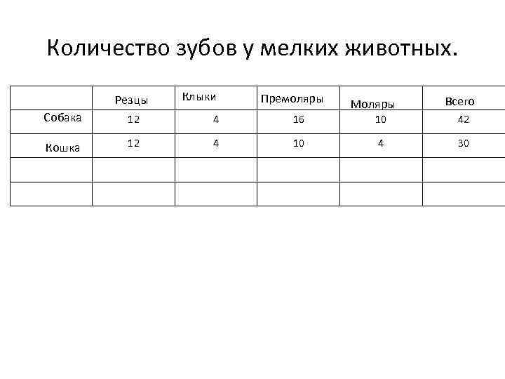 Количество зубов у мелких животных. Резцы Клыки Премоляры Моляры Всего Собака 12 4 16