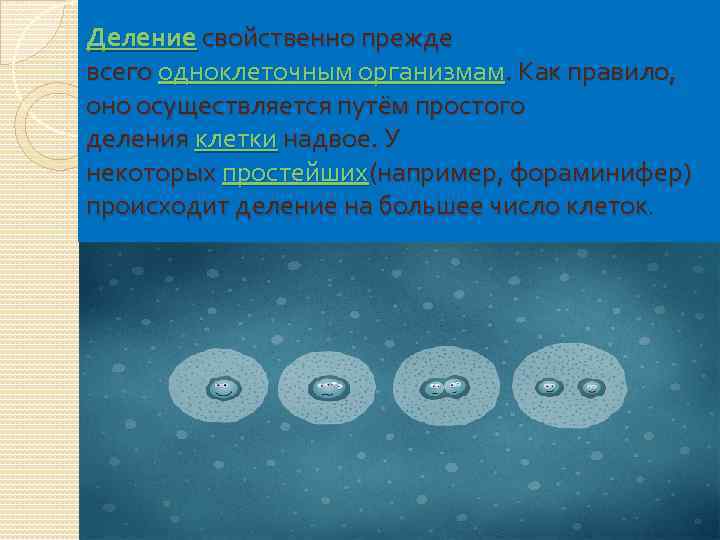 Молодому человеку свойственно прежде всего основная мысль. Простое деление свойственно клеткам. Простое деление условия протекания. Простое деление клетки.