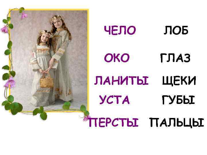 Слово чело. Чело лоб ланиты. Уста ланиты чело. Око глаз чало лоб ланиты щёки. Чело ланиты уста очи выя Перси рамена десница перст.