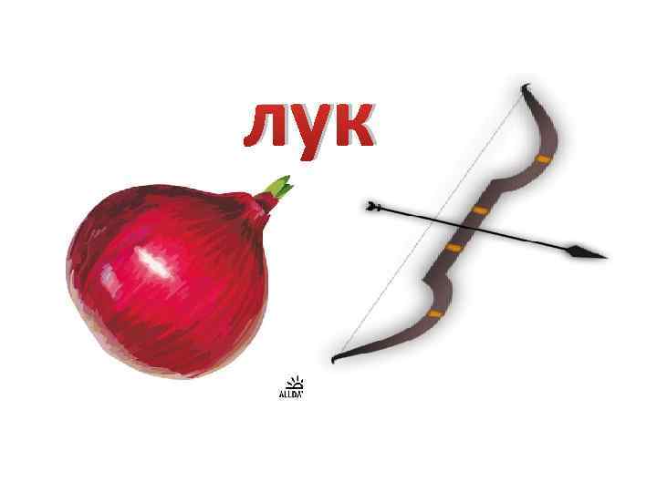 лук 