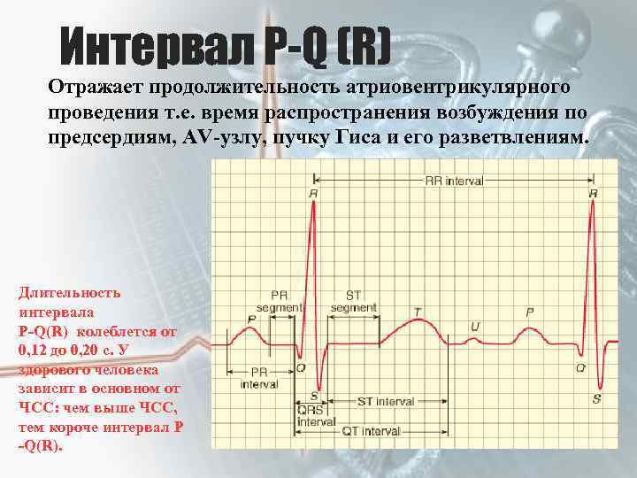 Интервал Р-Q (R) Отражает продолжительность атриовентрикулярного проведения т. е. время распространения возбуждения по предсердиям,