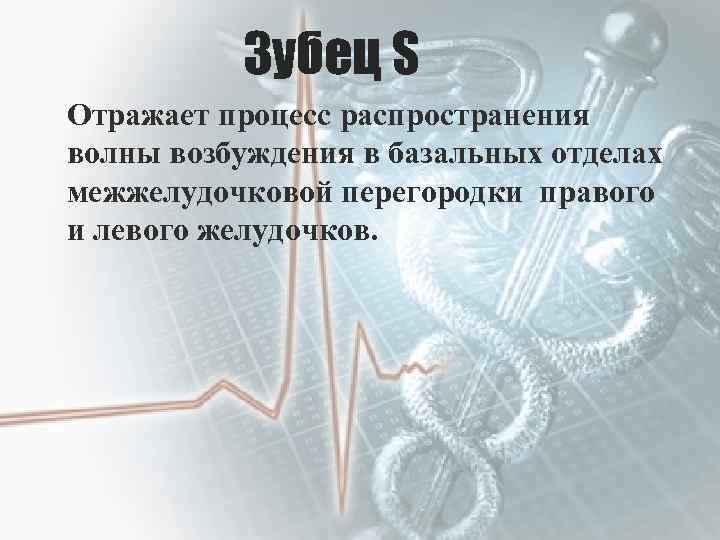 Зубец S Отражает процесс распространения волны возбуждения в базальных отделах межжелудочковой перегородки правого и