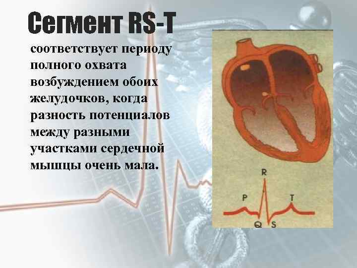 Сегмент RS-T соответствует периоду полного охвата возбуждением обоих желудочков, когда разность потенциалов между разными