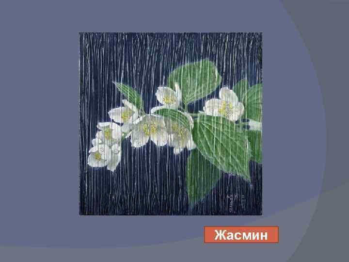 Жасмин 