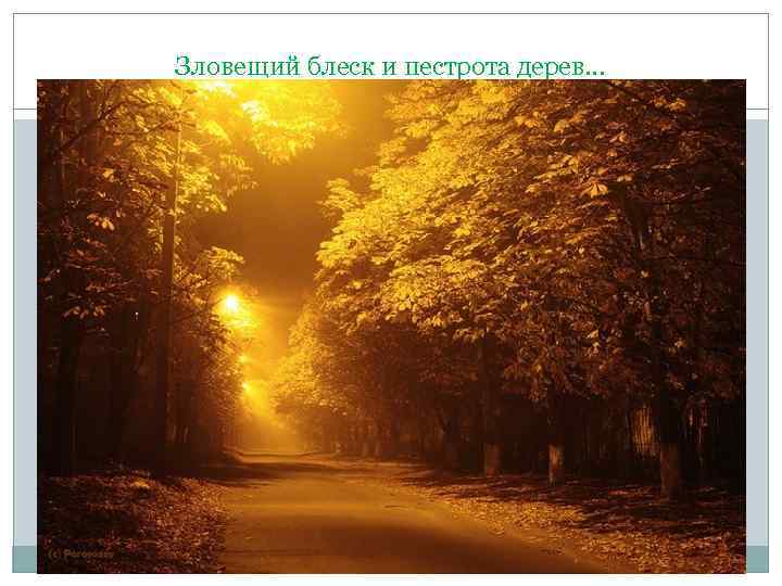 Зловещий блеск и пестрота дерев… 