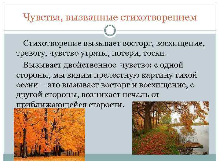 Чувства, вызванные стихотворением Стихотворение вызывает восторг, восхищение, тревогу, чувство утраты, потери, тоски. Вызывает двойственное
