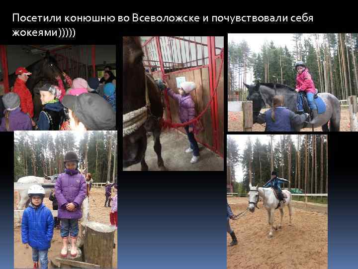 Посетили конюшню во Всеволожске и почувствовали себя жокеями))))) 