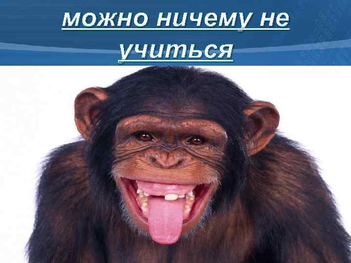 можно ничему не учиться 