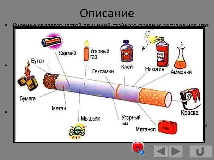 Описание • Курение является частой причиной стойкого сужения сосудов ног, что приводит к тяжкому