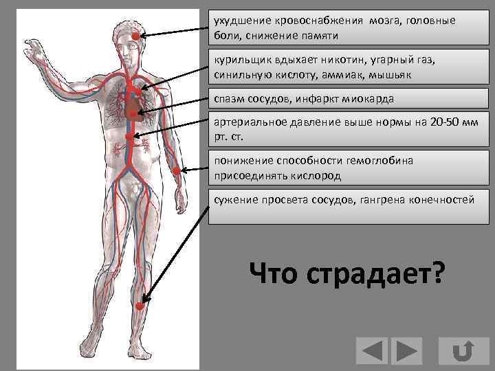 ухудшение кровоснабжения мозга, головные боли, снижение памяти курильщик вдыхает никотин, угарный газ, синильную кислоту,