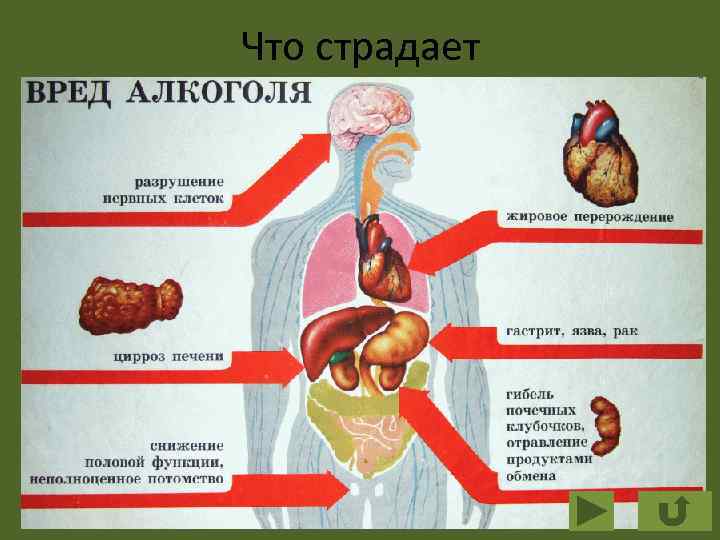 Что страдает 