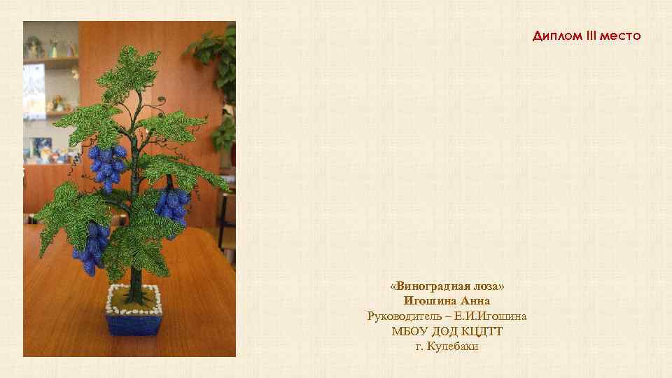 Диплом III место «Виноградная лоза» Игошина Анна Руководитель – Е. И. Игошина МБОУ ДОД