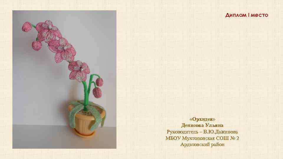 Диплом I место «Орхидея» Денисова Ульяна Руководитель – В. Ю. Дажинова МБОУ Мухтоловская СОШ