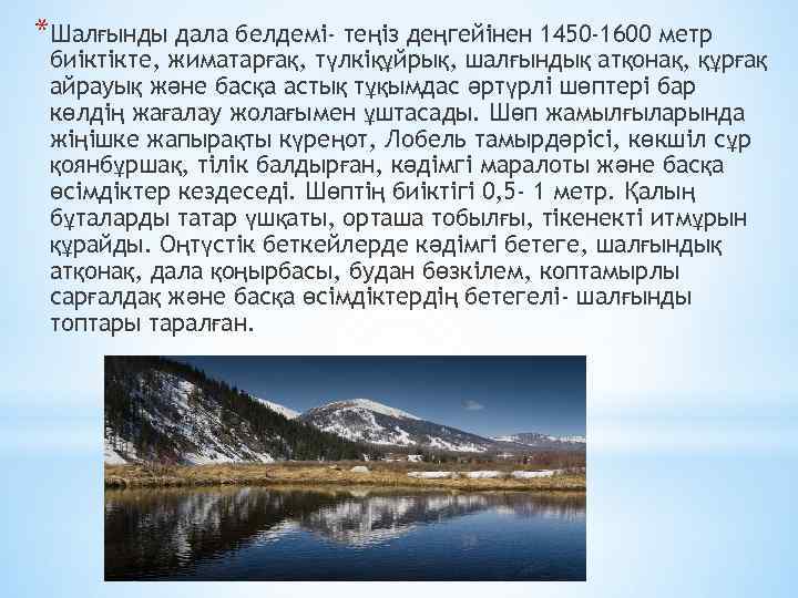 *Шалғынды дала белдемі- теңіз деңгейінен 1450 -1600 метр биіктікте, жиматарғақ, түлкіқұйрық, шалғындық атқонақ, құрғақ