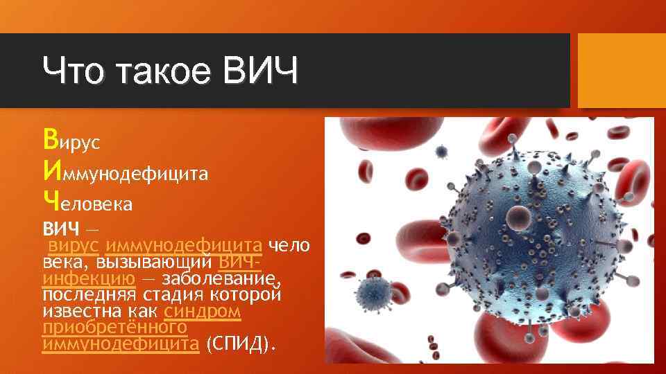 Что такое ВИЧ Вирус Иммунодефицита Человека ВИЧ — вирус иммунодефицита чело века, вызывающий ВИЧинфекцию