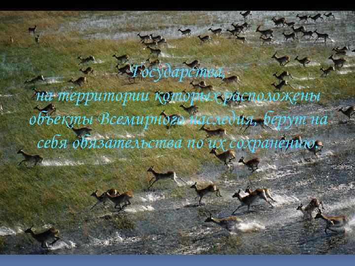 Государства, на территории которых расположены объекты Всемирного наследия, берут на себя обязательства по их