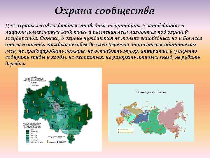 Природные комплексы смешанных. Охрана природных сообществ. Охрана лесного сообщества. Как охранять природные сообщества. Охрана природных сообществ леса.