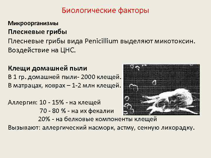 Биологические факторы Микроорганизмы Плесневые грибы вида Penicillium выделяют микотоксин. Воздействие на ЦНС. Клещи домашней