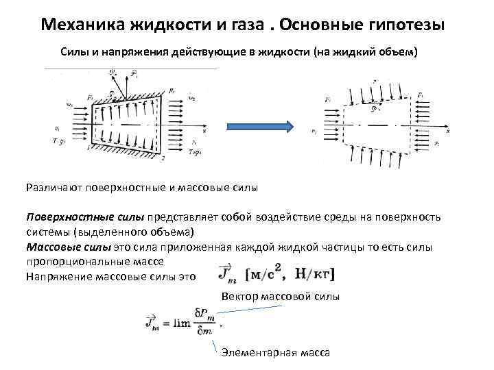 Механика жидкости и газа. Основные гипотезы Силы и напряжения действующие в жидкости (на жидкий