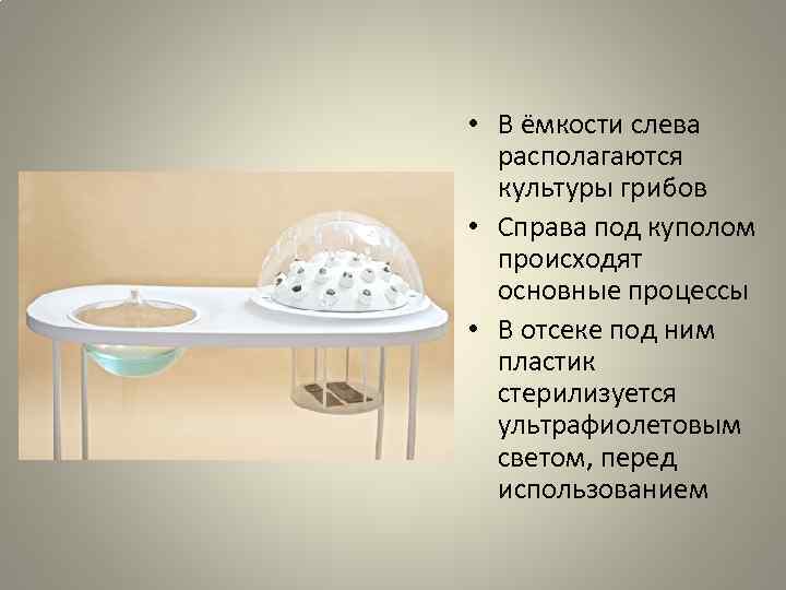  • В ёмкости слева располагаются культуры грибов • Справа под куполом происходят основные