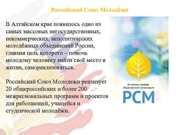 Российский Союз Молодёжи В Алтайском крае появилось одно из самых массовых негосударственных, некоммерческих, неполитических