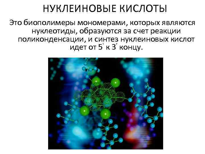 Биополимеры нуклеиновые кислоты. Биологические полимеры нуклеиновые кислоты. Мономеры полимеры биополимеры. Нуклеиновые как природные полимеры.