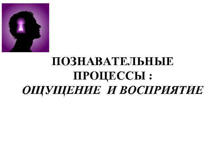 ПОЗНАВАТЕЛЬНЫЕ ПРОЦЕССЫ : ОЩУЩЕНИЕ И ВОСПРИЯТИЕ 