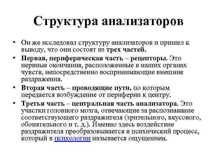 Структура анализаторов • Он же исследовал структуру анализаторов и пришел к выводу, что они