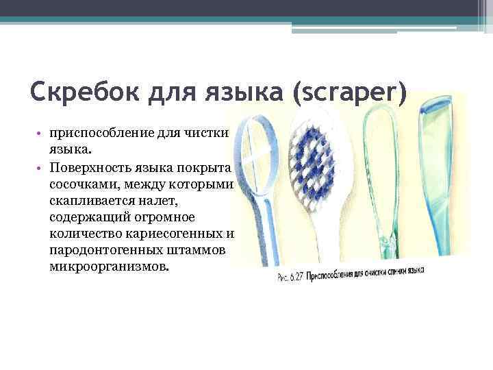 Скребок для языка (scraper) • приспособление для чистки языка. • Поверхность языка покрыта сосочками,