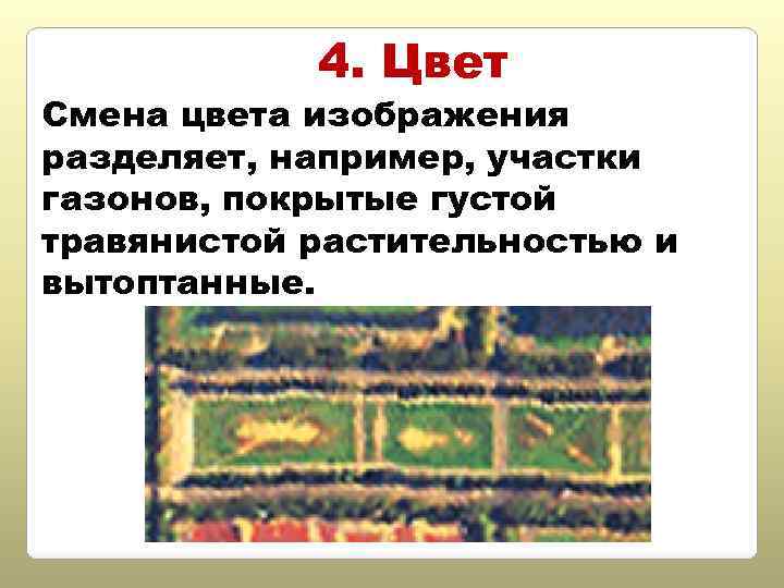 4. Цвет Смена цвета изображения разделяет, например, участки газонов, покрытые густой травянистой растительностью и