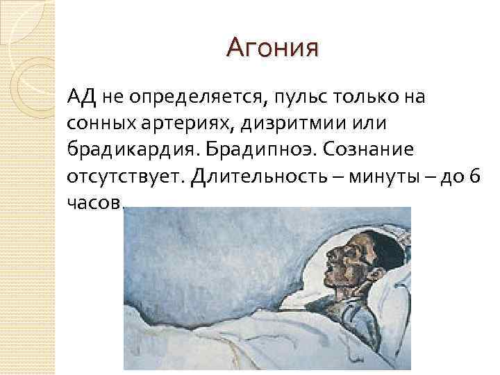 Агония АД не определяется, пульс только на сонных артериях, дизритмии или брадикардия. Брадипноэ. Сознание