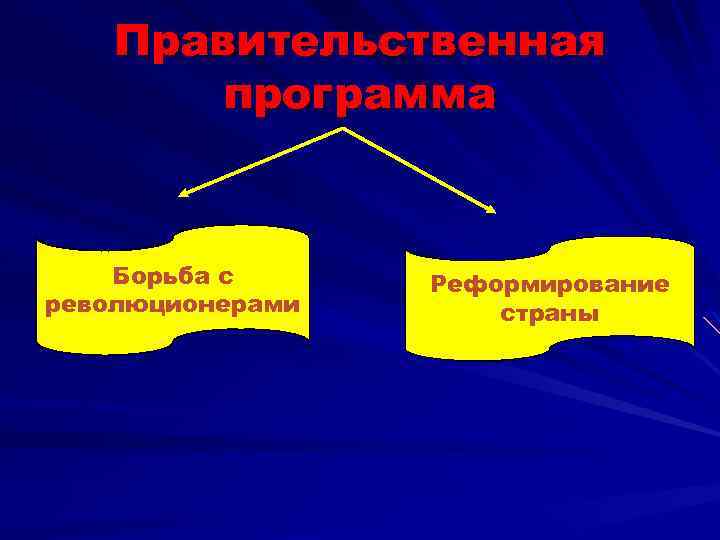 Правительственная программа Борьба с революционерами Реформирование страны 