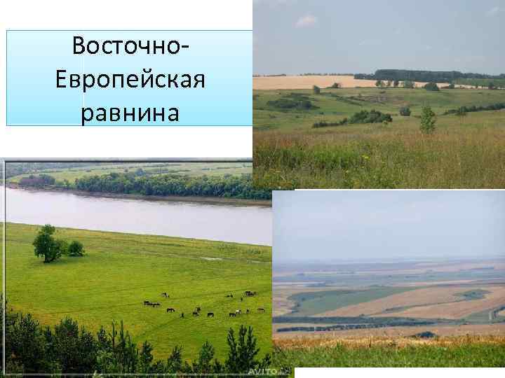 Высота восточно европейской равнины