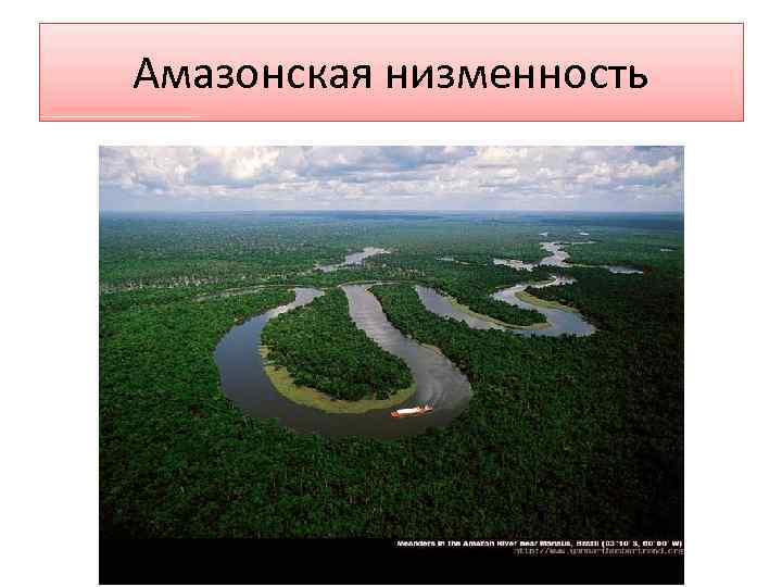 Амазонская низменность 