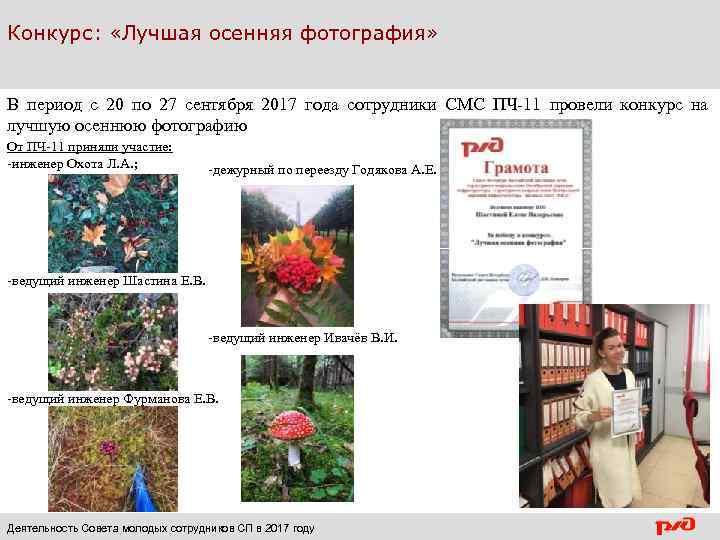 Конкурс: «Лучшая осенняя фотография» В период с 20 по 27 сентября 2017 года сотрудники